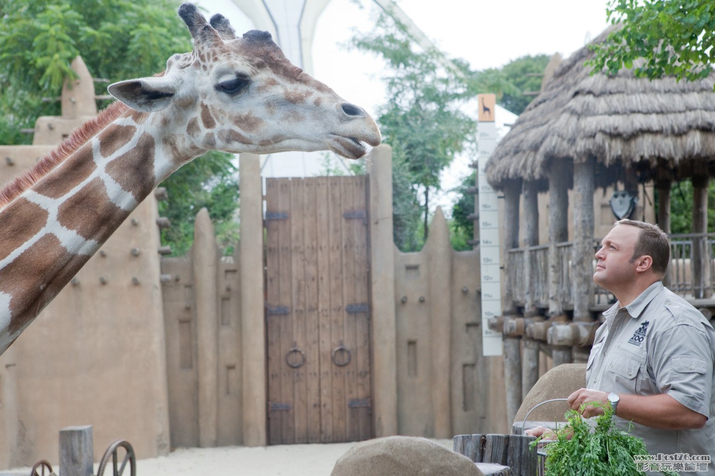 zookeeper_15.jpg