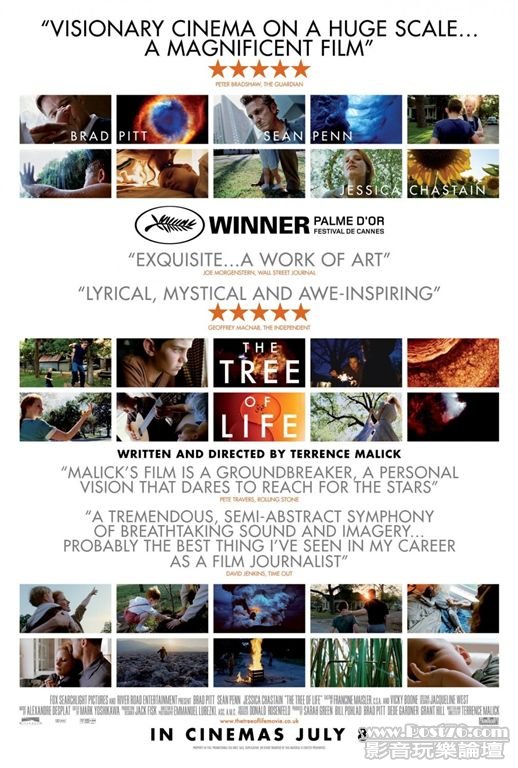tree of life 12.jpg