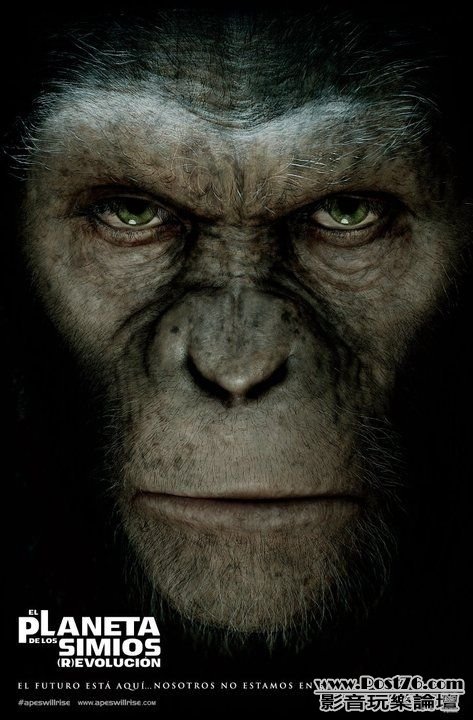 Rise of the Planet of the Apes 25.jpg