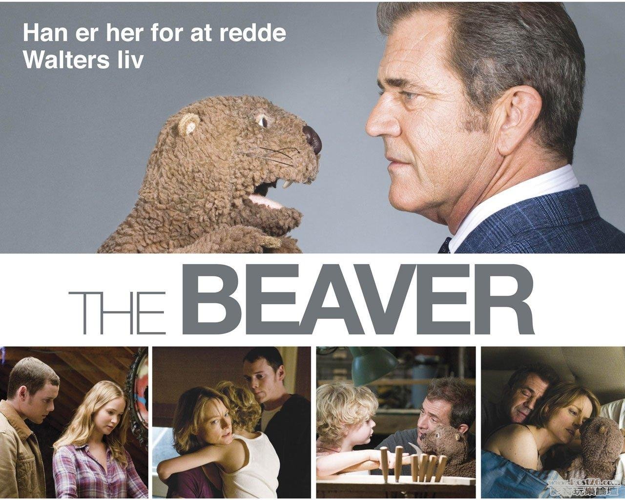 beaver-5.jpg
