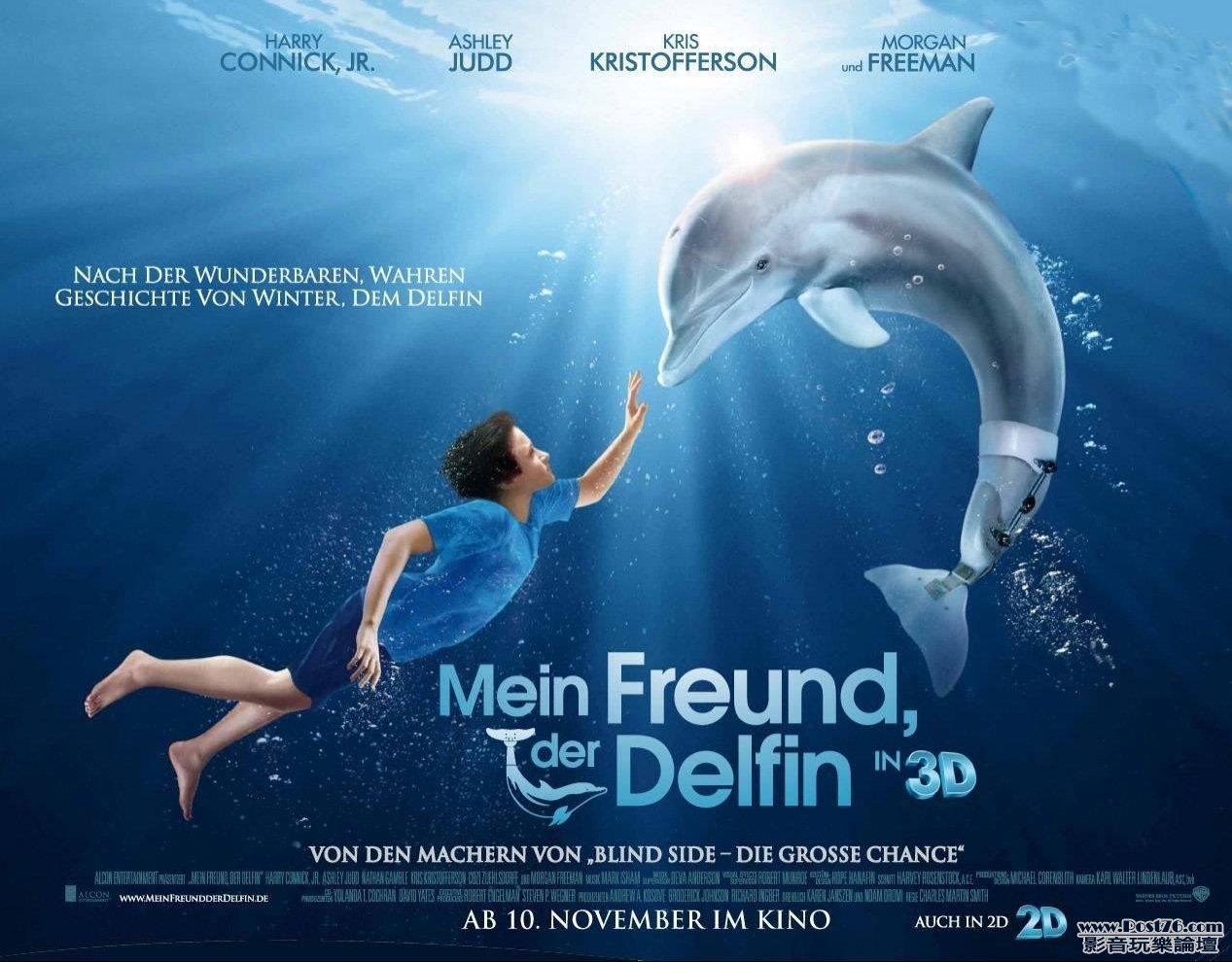 dolphins-tale-6.jpg