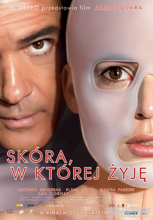 Skin I Live In Po.jpg
