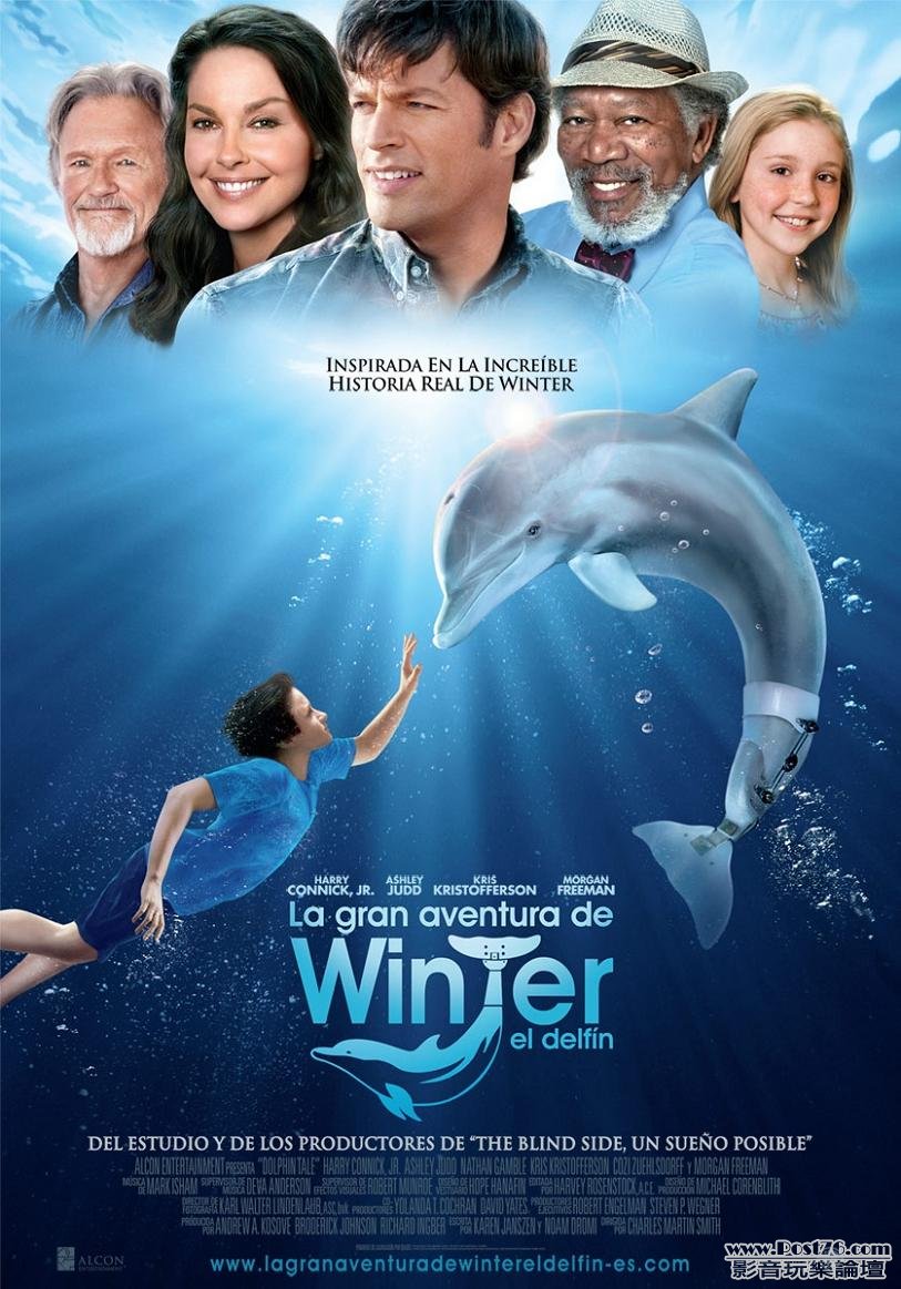 dolphins-tale-11.jpg