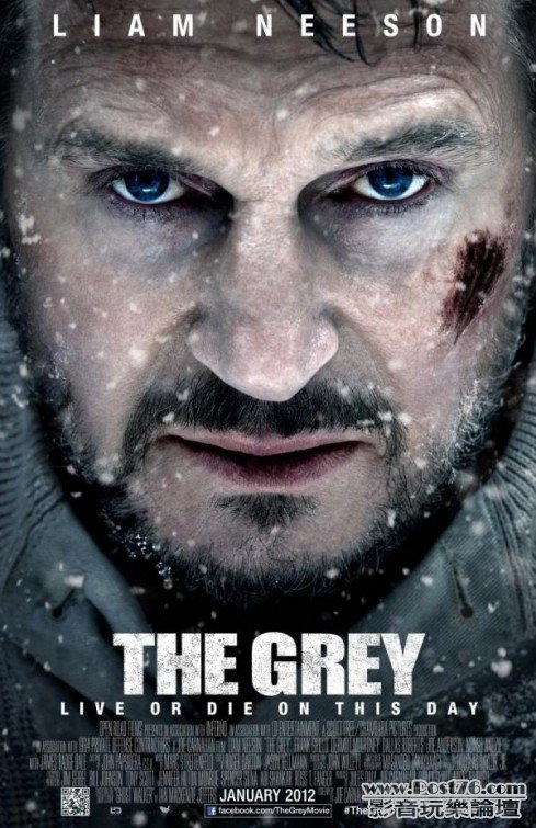 The Grey.jpg