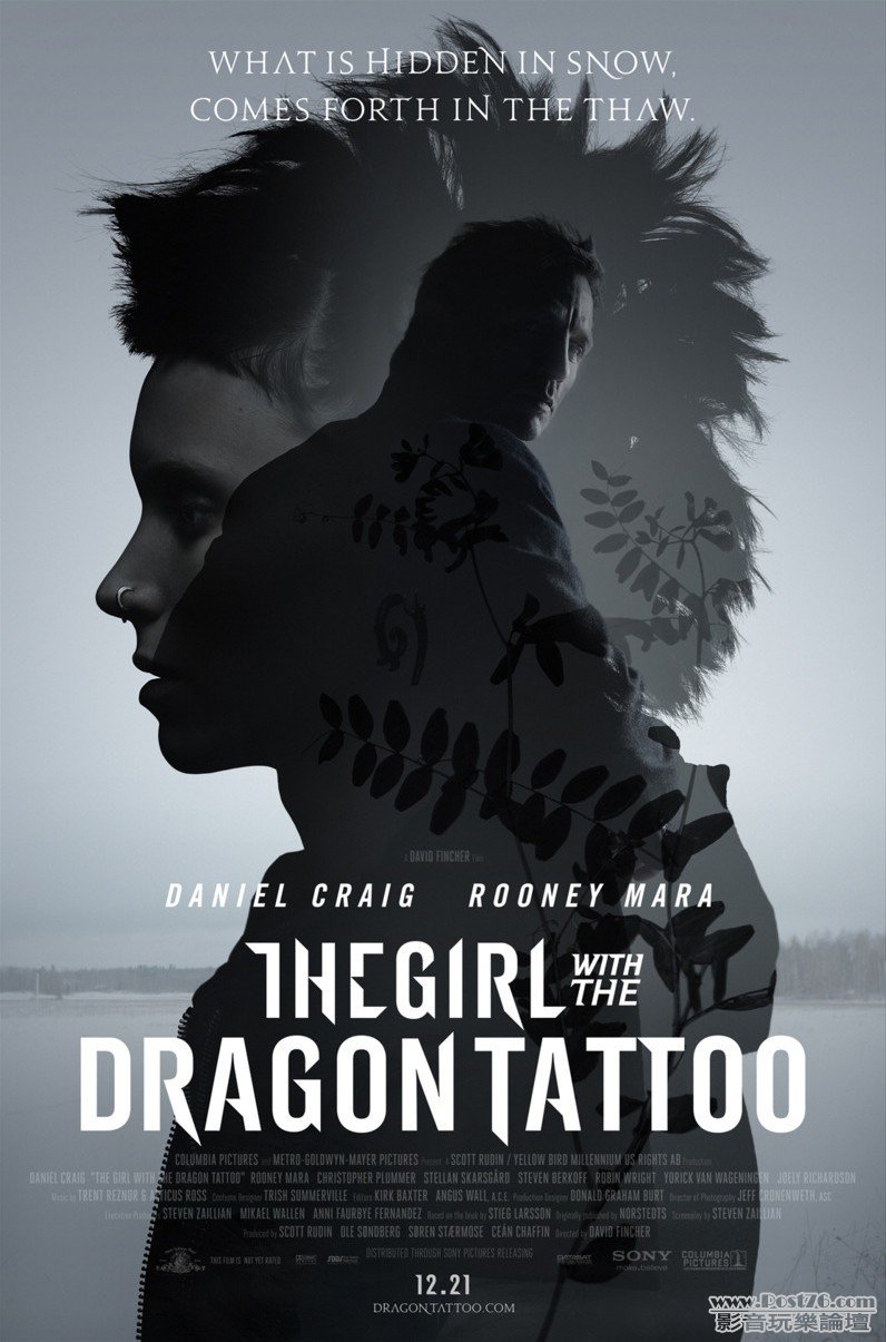 girlwiththedragontattoo_6.jpg
