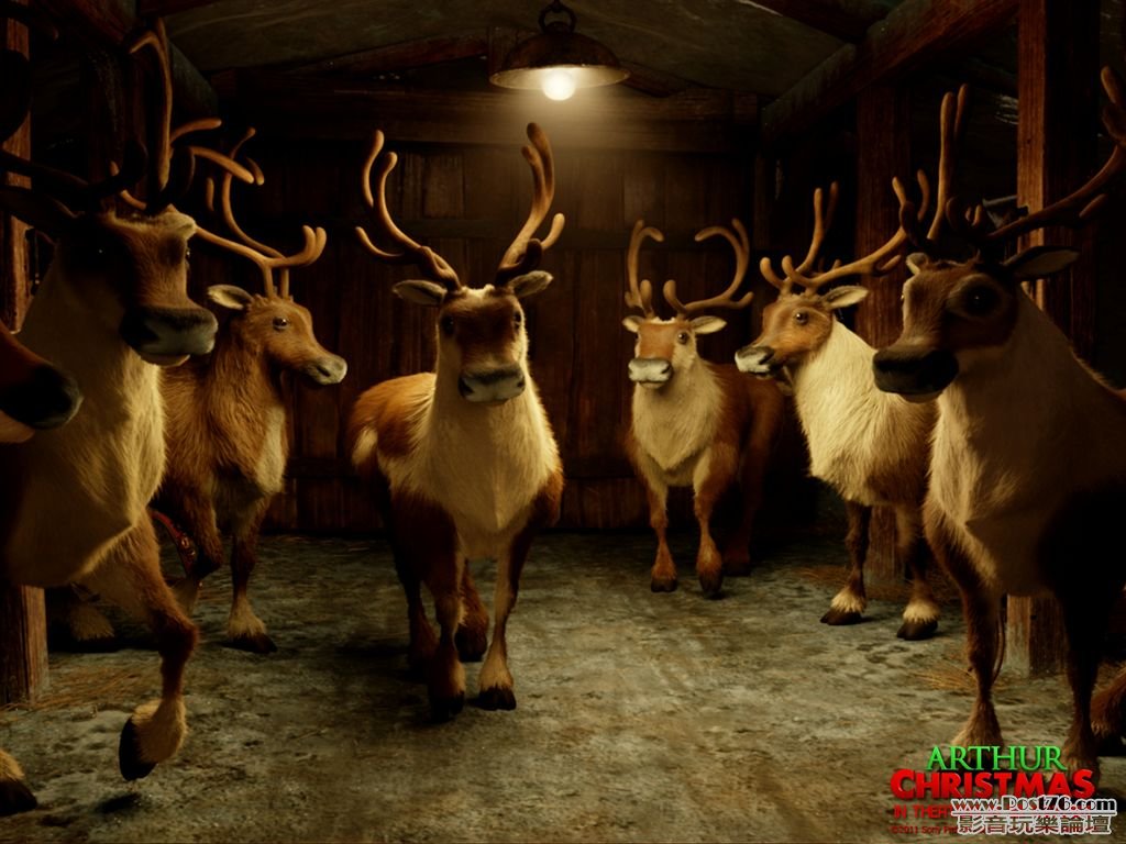 arc_reindeer_1600.jpg