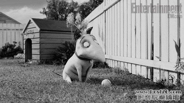 frankenweenie_2.jpg
