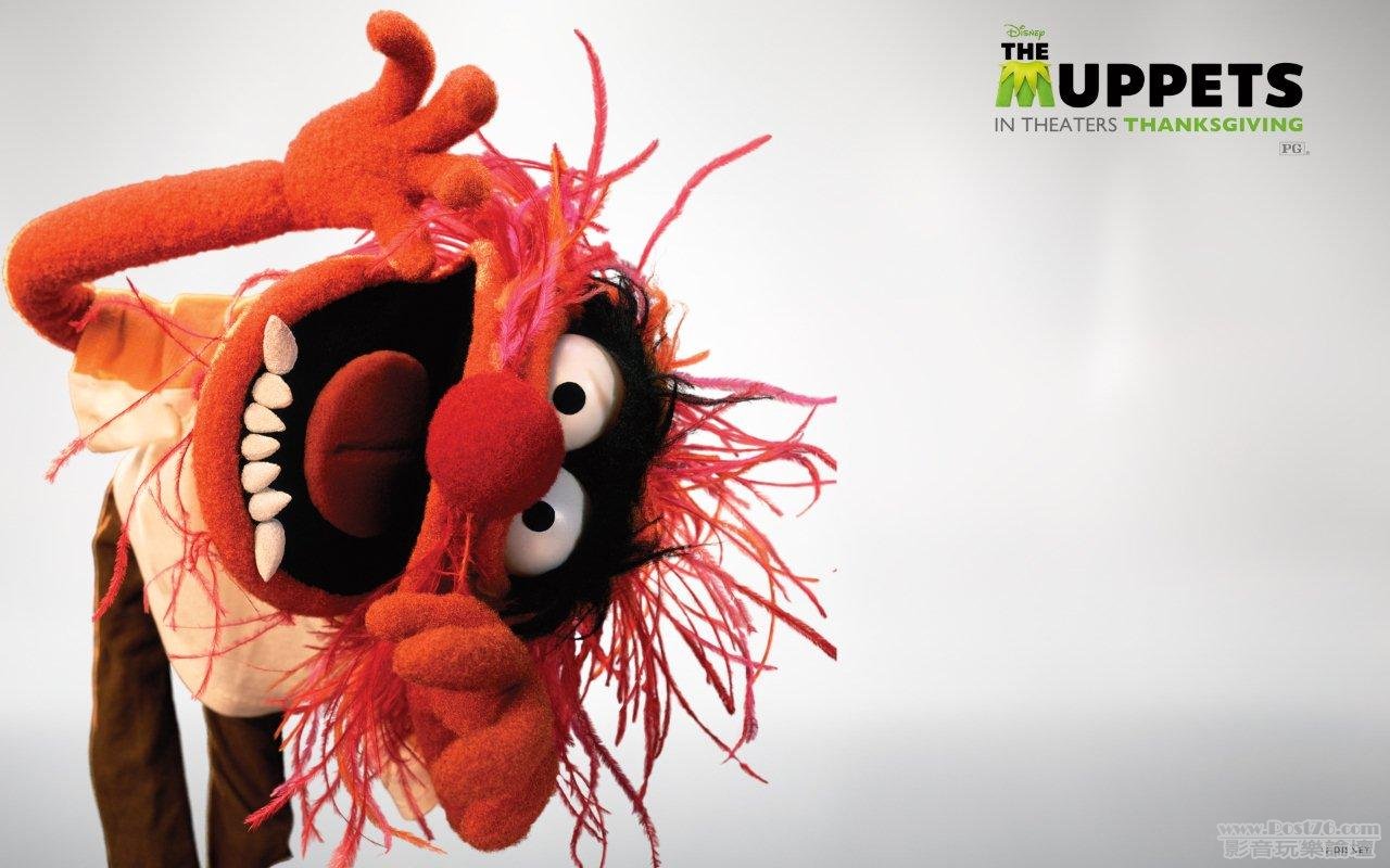 wpaper_animal_2_widescreen.jpg
