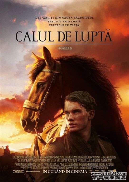 War Horse 5.jpg