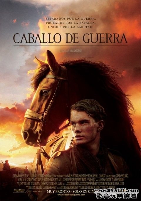 War Horse 4.jpg