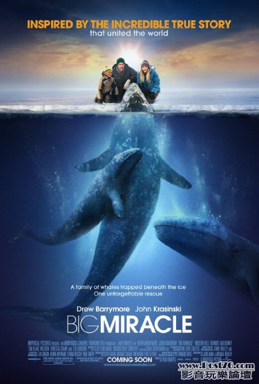 bigmiracle_1.jpg