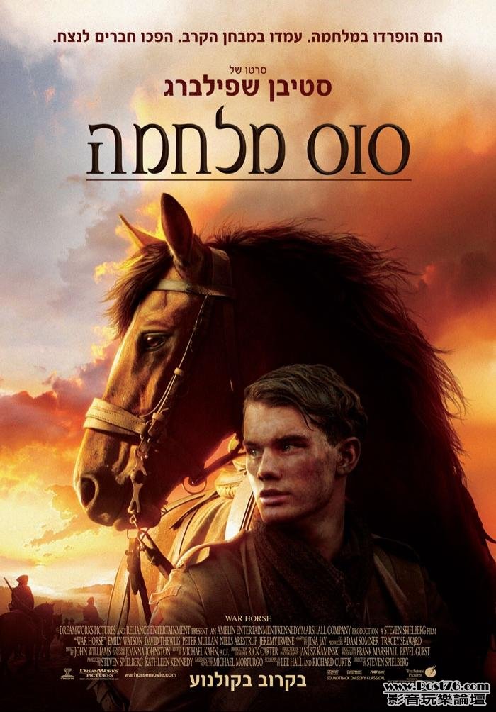 War Horse tur.JPG