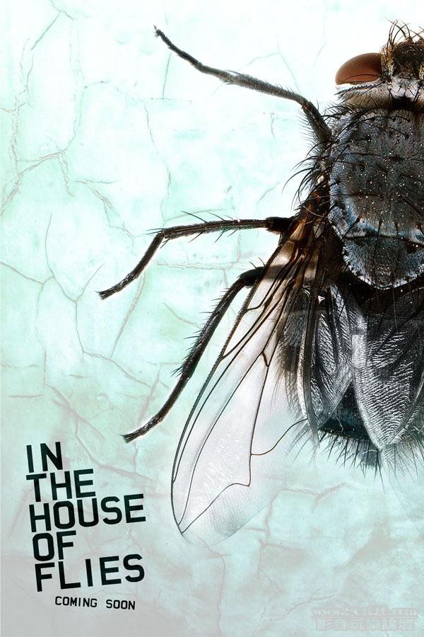 In the House of Flies 2.jpg