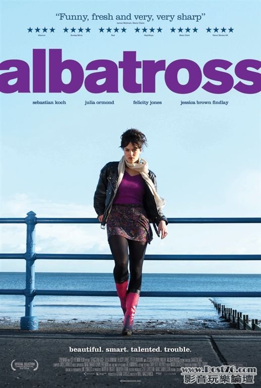 Albatross 1.jpg