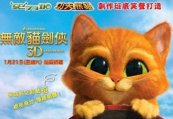 cat1.jpg