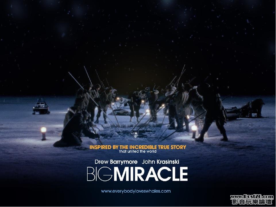 Big Miracle w1.JPG