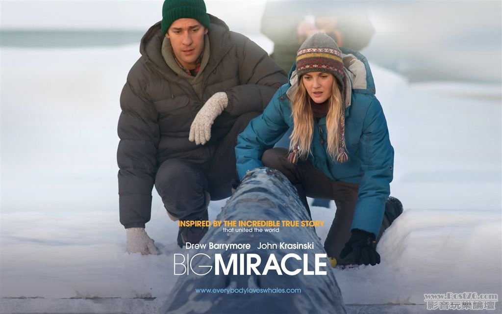 Big Miracle w2.jpg