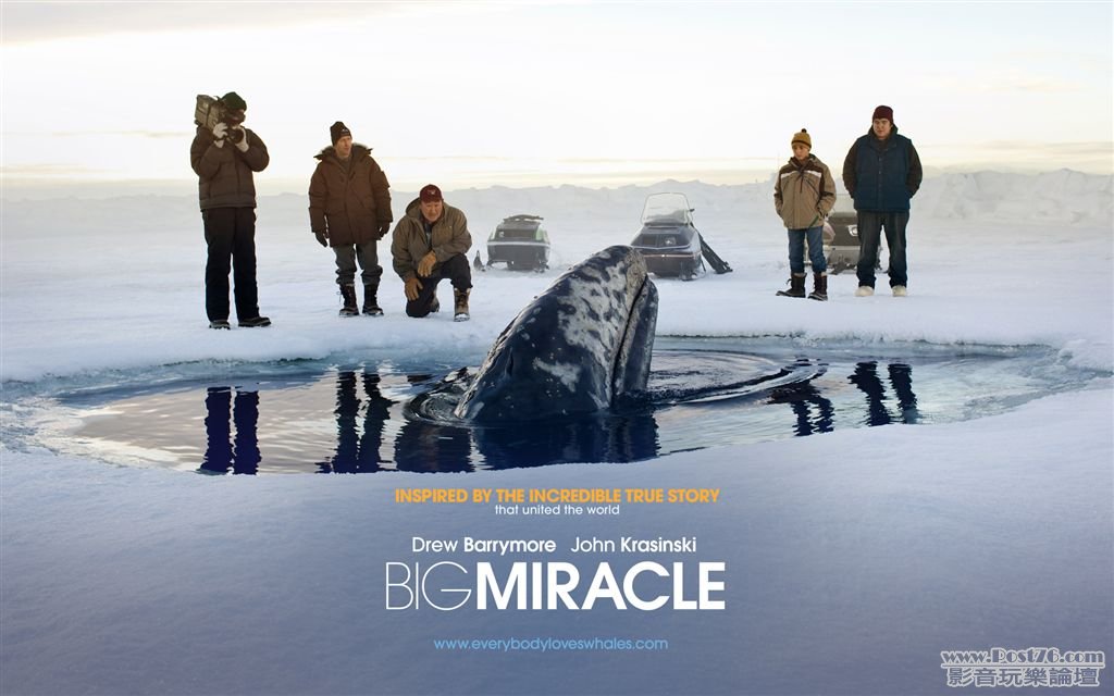 Big Miracle w3.jpg