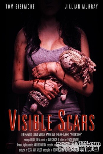 Visible Scars.jpg