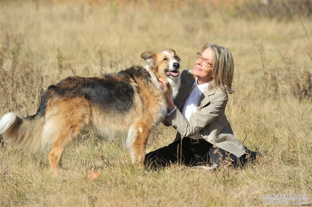 Darling Companion.jpg
