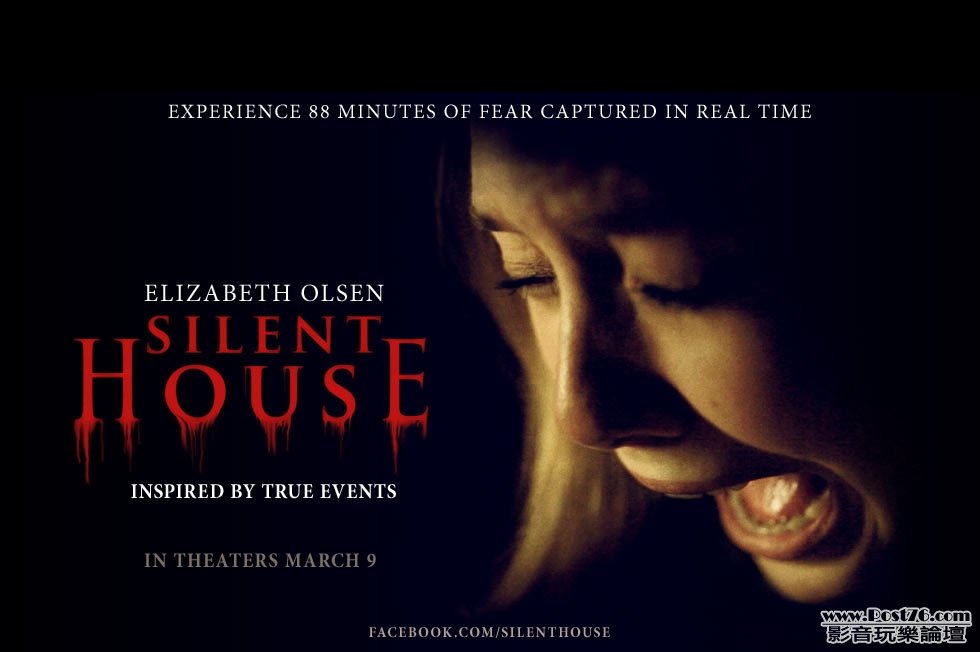 The Silent House 7.jpg