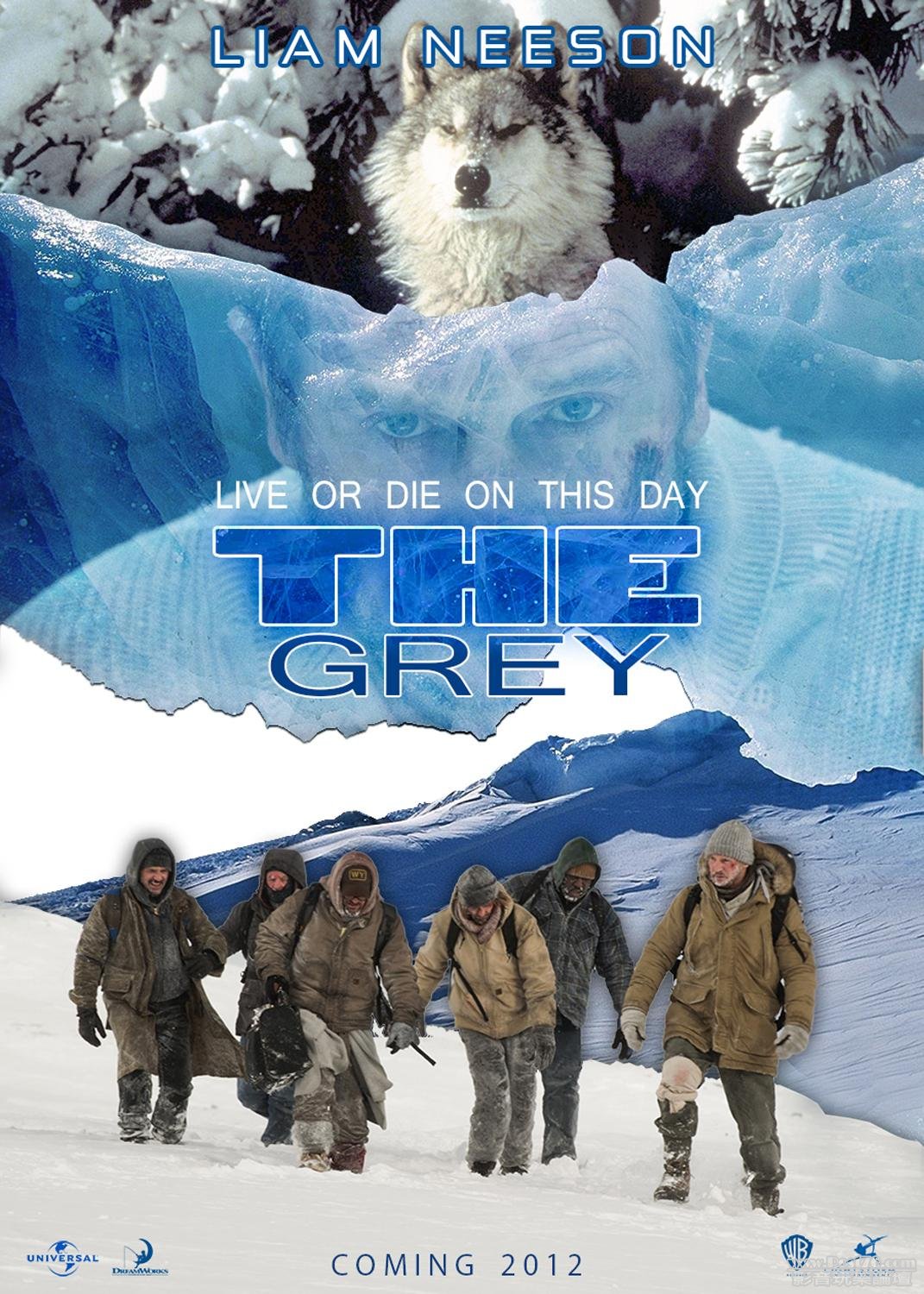 the grey 24.JPG