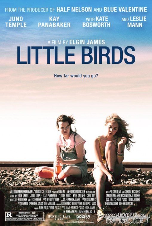 Little Birds.jpg