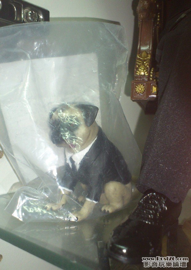 02.JPG