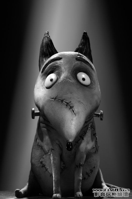 frankenweenie_6.jpg