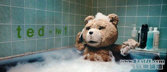 ted 11.jpg