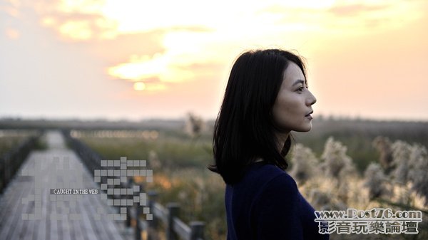 搜索 S 3.jpg