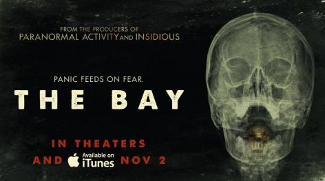 The Bay 1.jpg