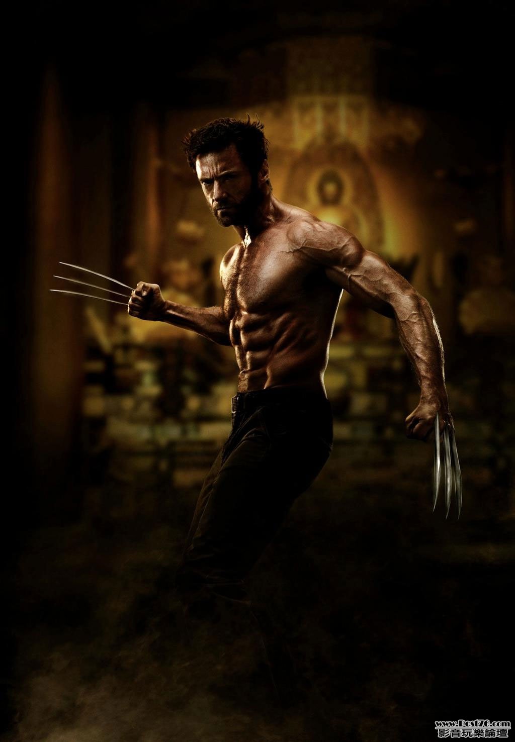 The Wolverine.jpg