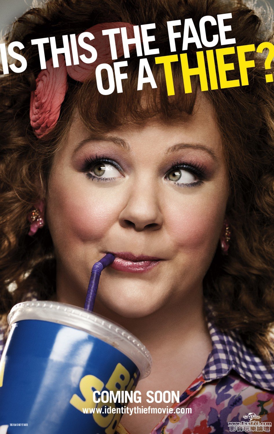 identitythief_2.jpg