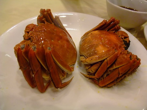 10-crab2.jpg