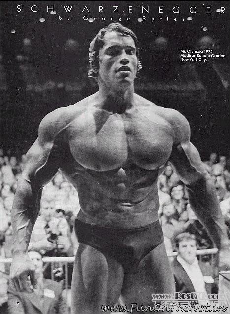 arnold3.jpg