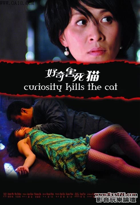 好奇害死猫.jpg