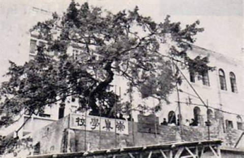 筲箕灣，巴色道，崇真學校，1950年代-1.jpg