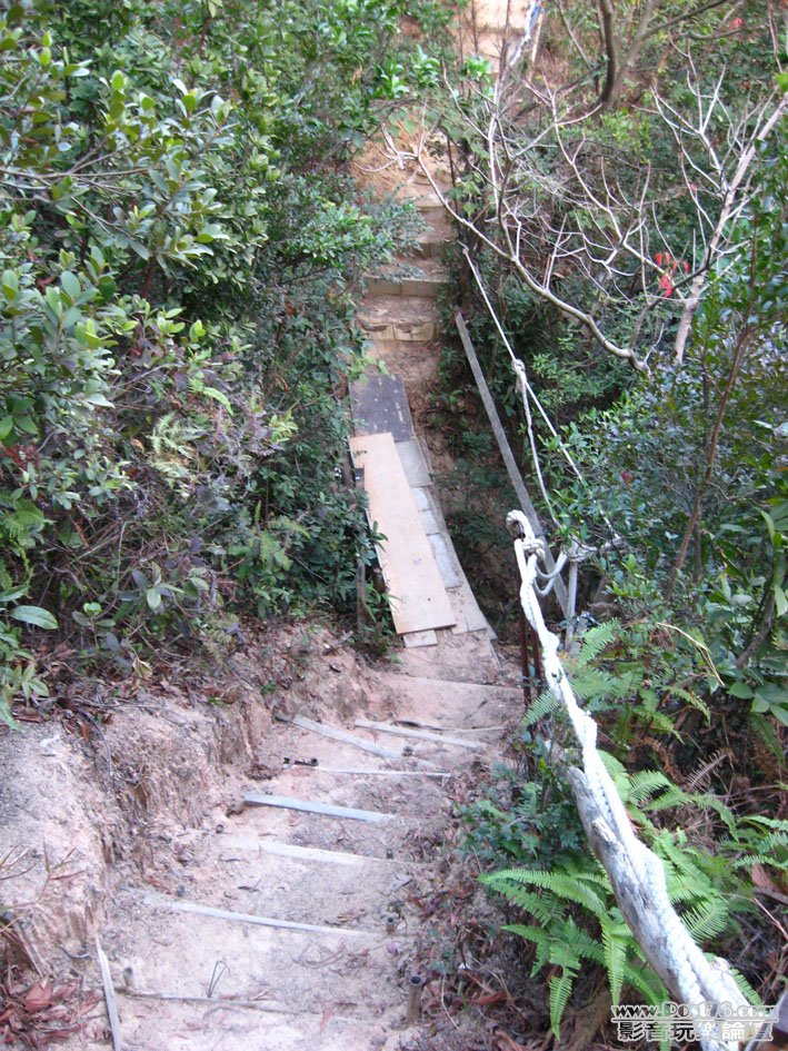 觀塘，佐敦谷，登山客私自開出通往堆填區小徑，未知年份-1.jpg