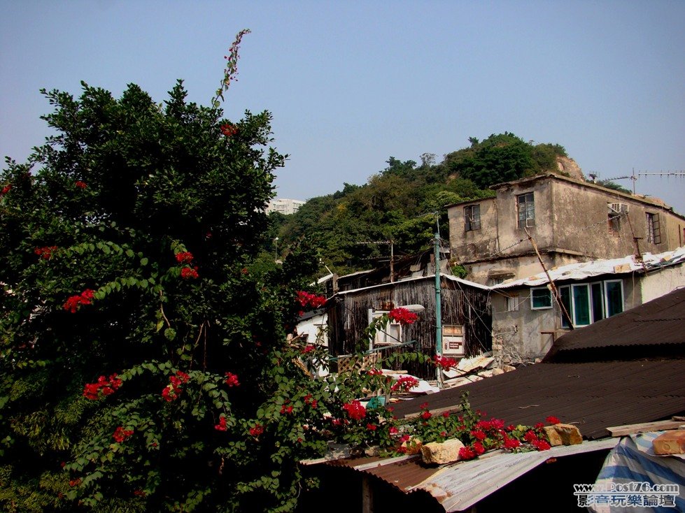 觀塘，茶果嶺，石屋木屋，未知年份-1.jpg