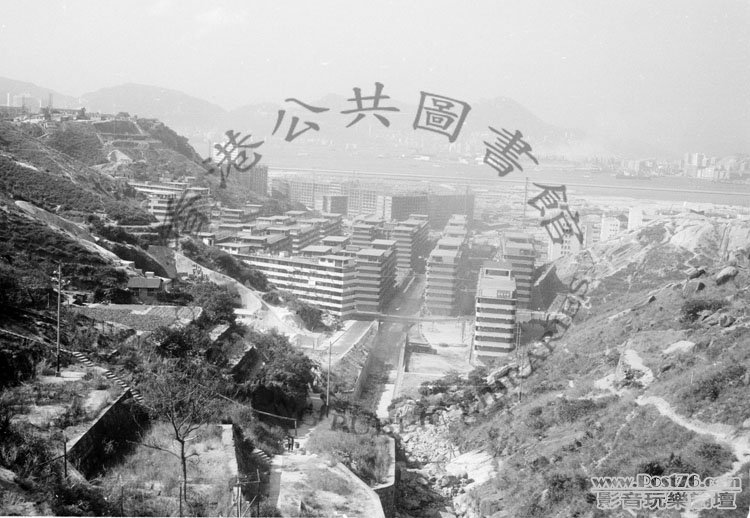 觀塘，牛頭角，佐敦谷，牛頭角下邨，興建中，1966年.jpg