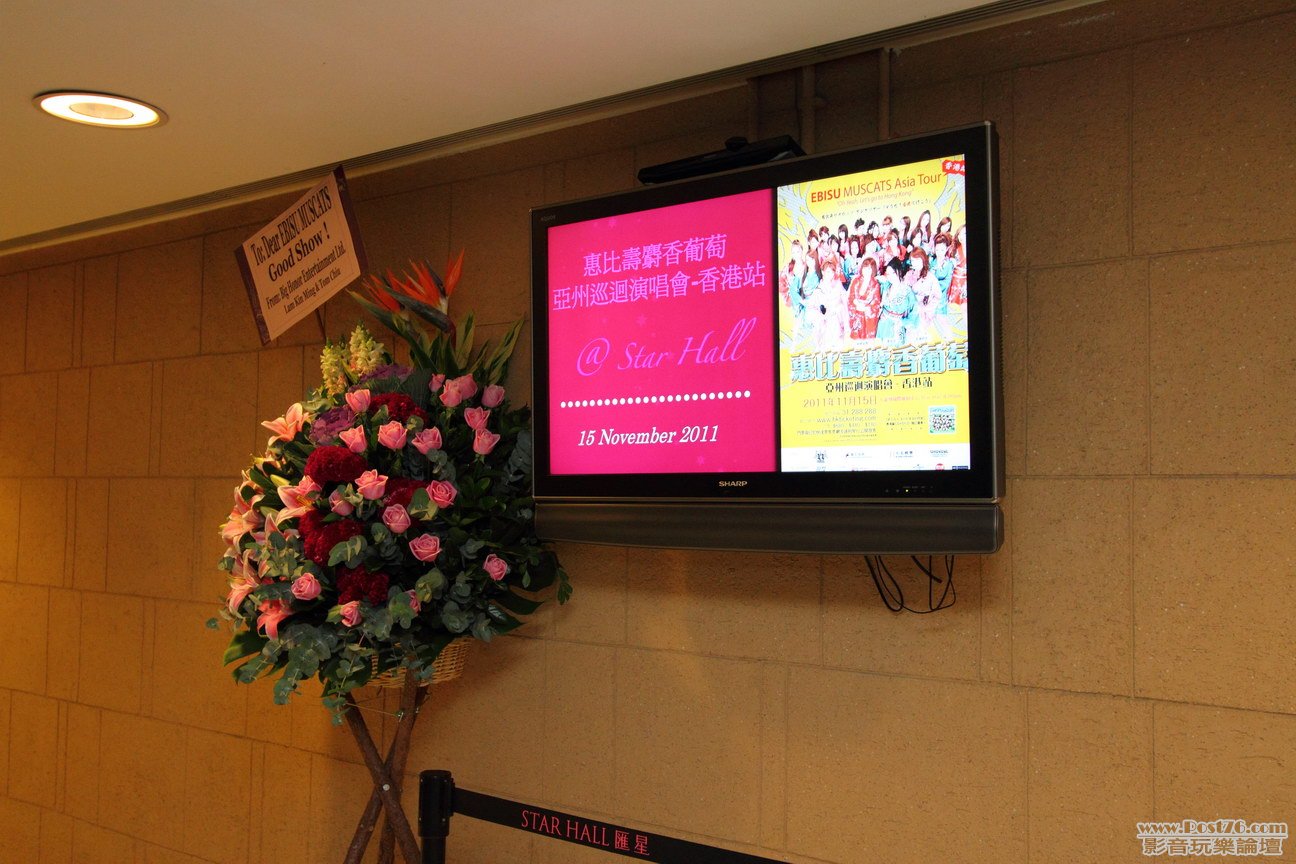 20111115_Ebisu_Muscats22.JPG