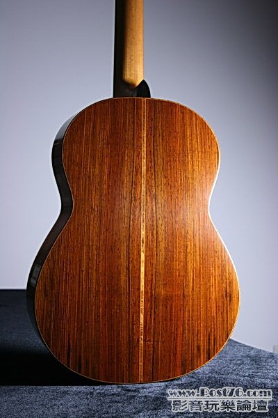 Reynolds_guitar_back1.jpg