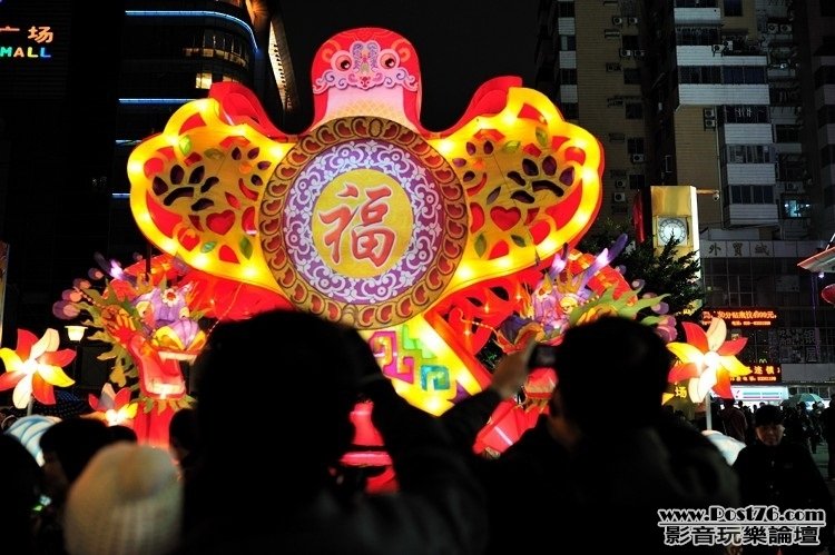 西湖路花市