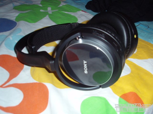 P2090004.JPG
