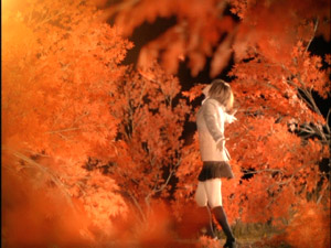 The Last Night 日本MV，這碟是屬於錯亂的 2:2 Pulldown