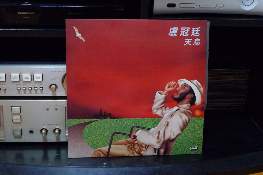 盧冠廷-天鳥.jpg