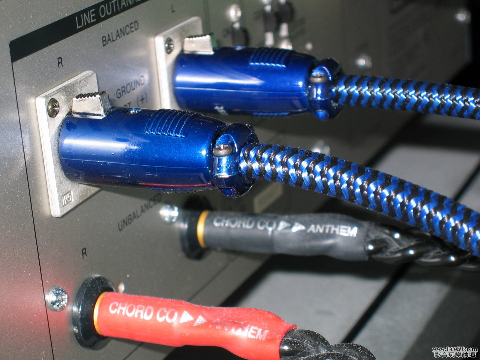 XLR & RCA_2.jpg