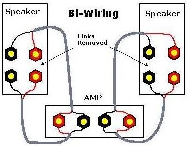 BI-WIRE.jpg