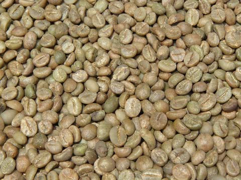 kopi luwak robusta - sumatra.jpg